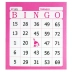 BLOCO P/ BINGO COR ROSA COD. 6004 TAMOIO