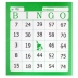 BLOCO P/ BINGO COR VERDE COD. 6003 TAMOIO