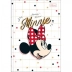 CADERNO BROCHURA PEQUENO CPD 80FLS MINNIE CAPA ABSOLUTELY  FABULOUS