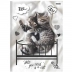 CADERNO BROCHURA PEQUENO CPD 80FLS MY PETS REF. 10483 CAPA ALL YOU NEED IS A CAT