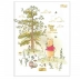 CADERNO BROCHURAO CPD 80FLS POOH CAPA BEE AT ONE WITH NATURE