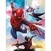 CADERNO BROCHURAO CPD 80FLS SPIDER MAN CAPA INTEGRANTES MOD. 2