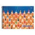 CADERNO DE DESENHO 48FLS CPD FORONI CAPA VARIOS LAPIS