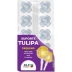 KIT SUPORTE KLF FESTAS TULIPA 25CM BL.C/10 REF. TUL