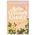 LIVRO - UMA SEGUNDA CHANCE COLLEN HOOVER